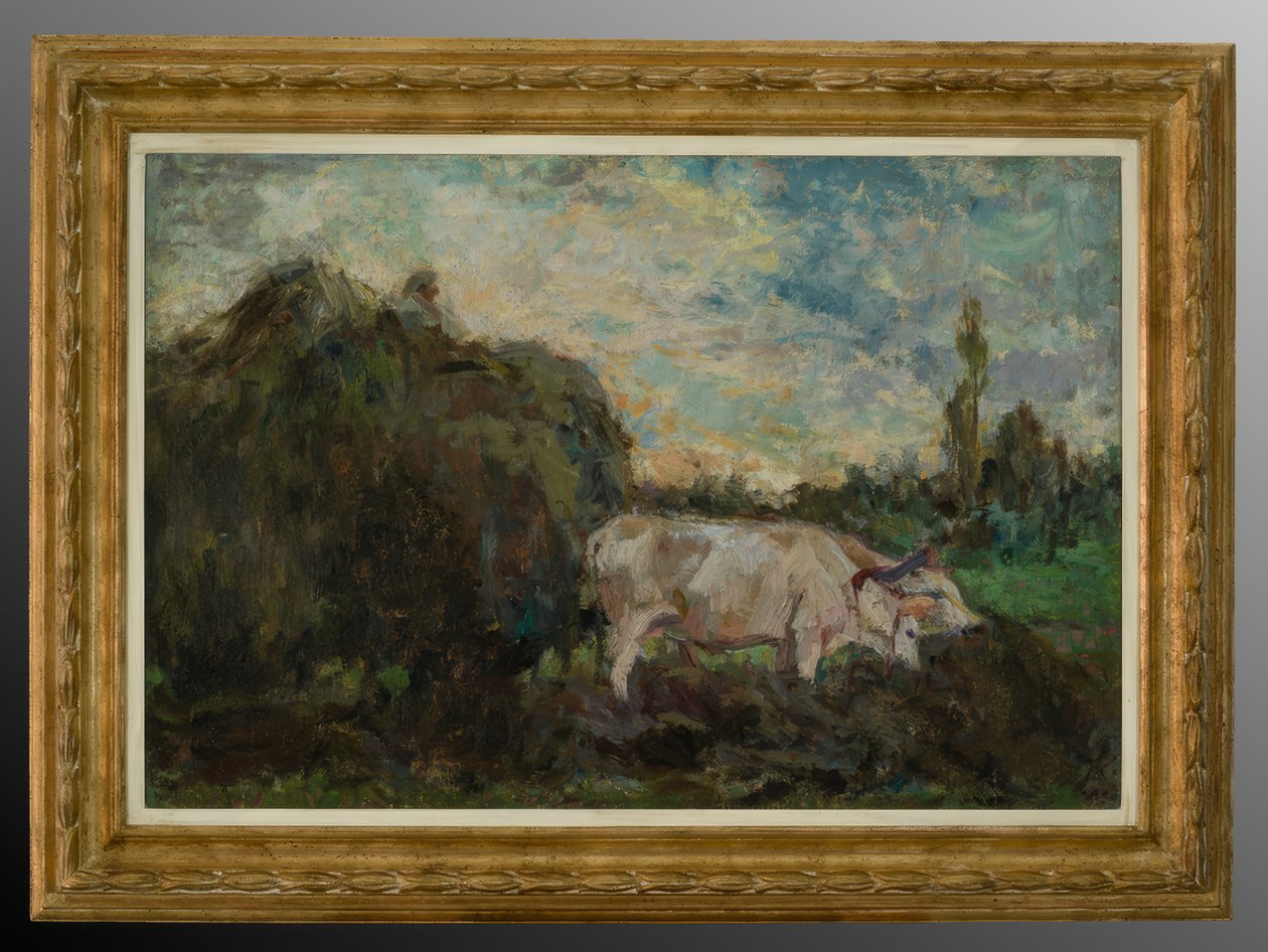 oxar av Evaristo Cappelli