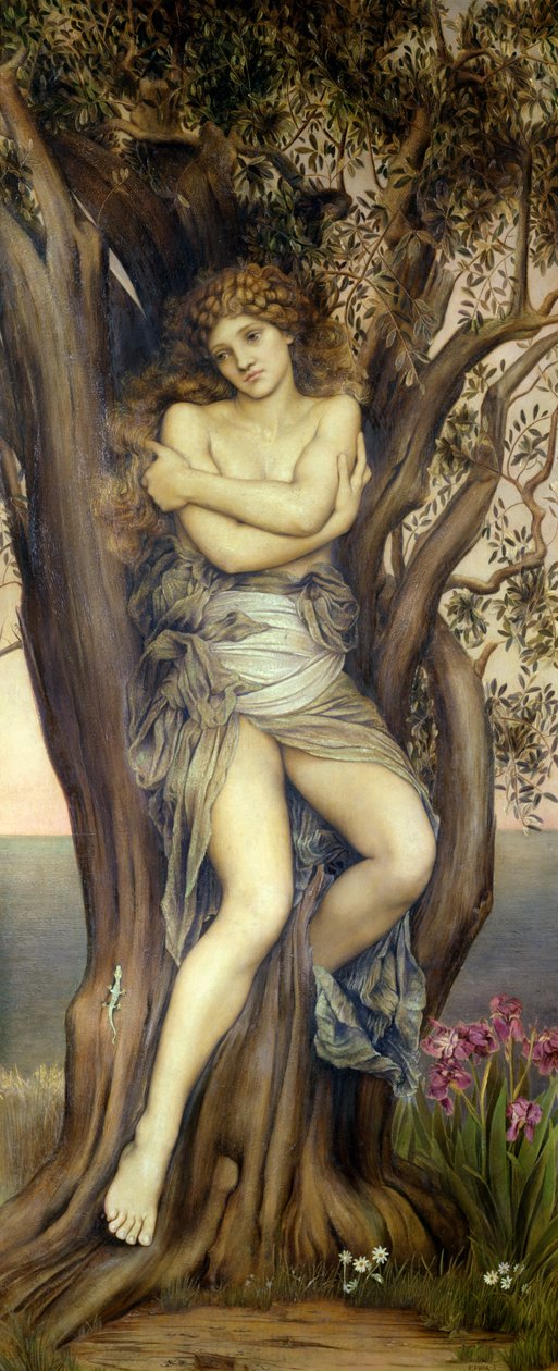 Dryaden, 1884-85 av Evelyn De Morgan