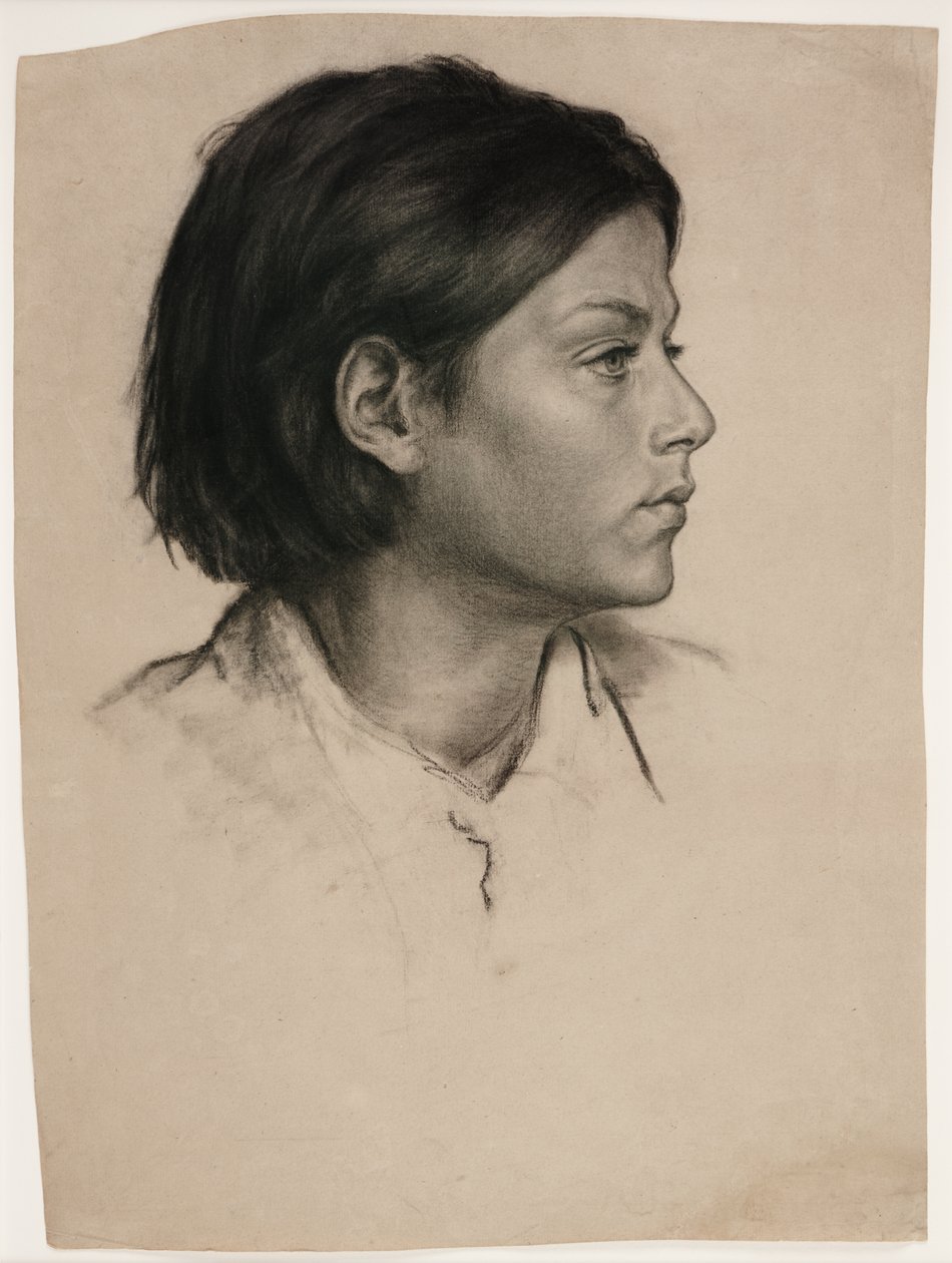 Huvud av en kvinna, ca 1875 (kol på papper) av Evelyn De Morgan