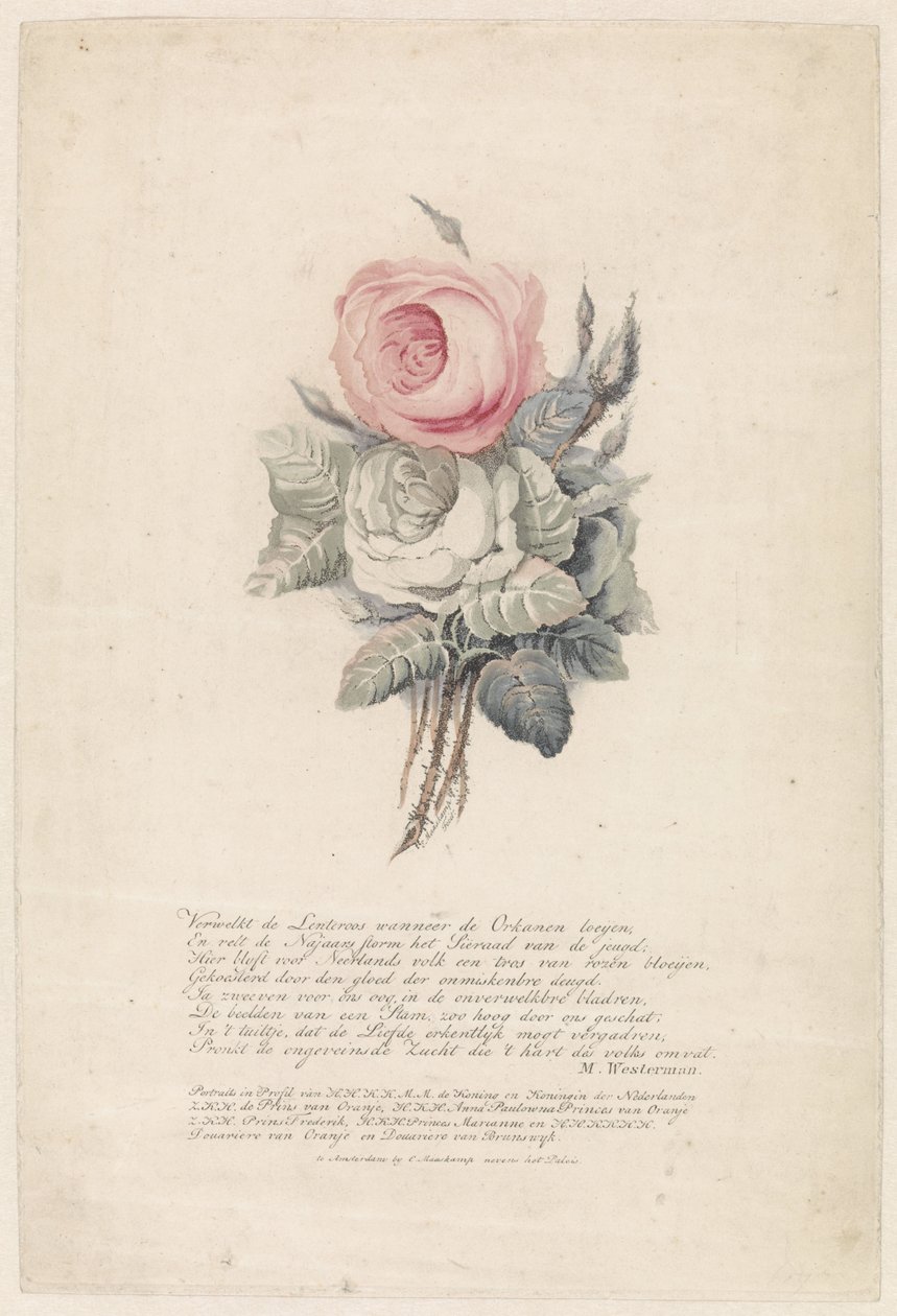 Rosor av Evert Maaskamp