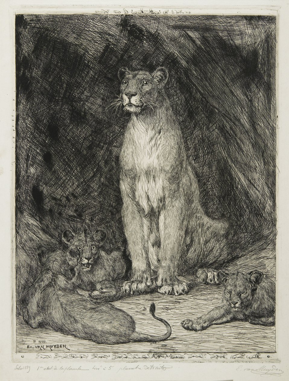 Sittande lejoninna och tre ungar, 1888 av Evert van Muyden