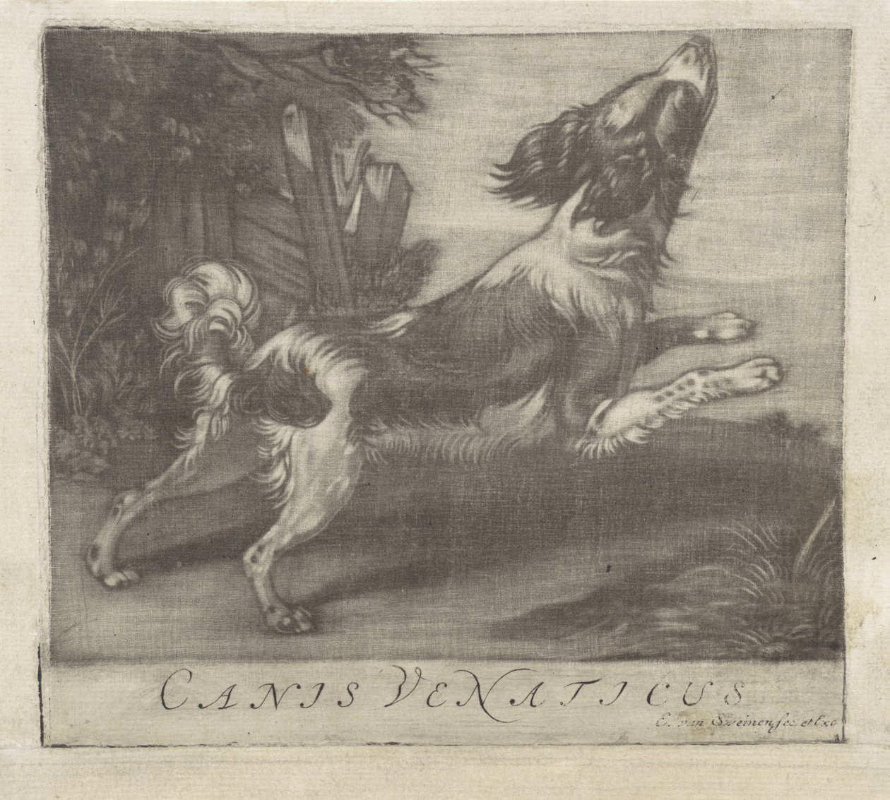 Hoppande hund Canis Venaticus (titel på objekt) av Evert van Sweinen