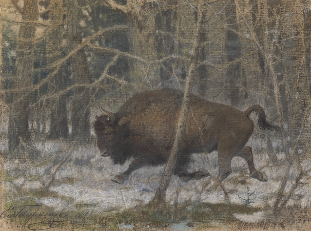 Träbisonen av Evgeny Alexandrovich Tichmenev
