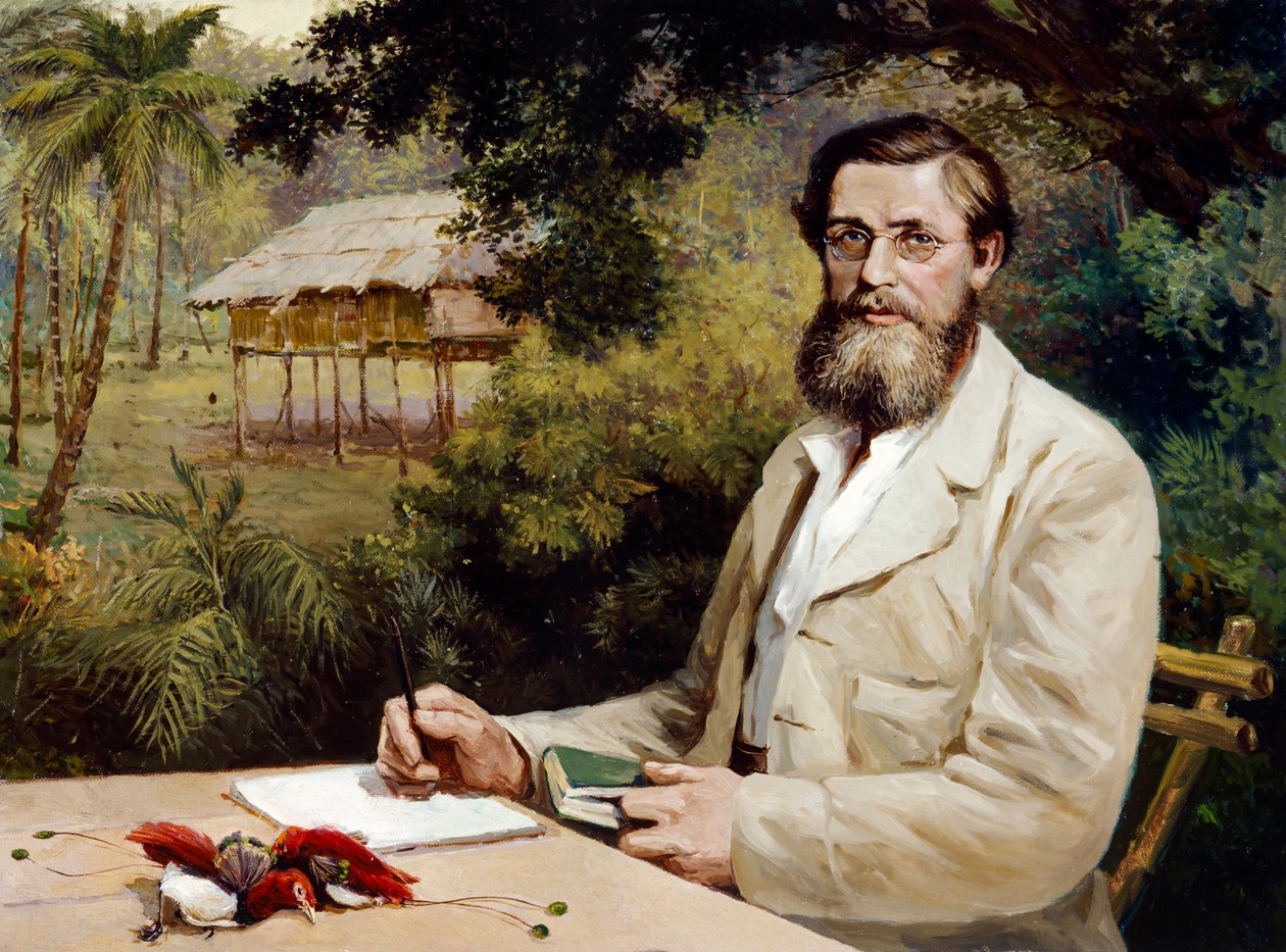 Alfred Russel Wallace (olja på duk) av Evstafieff Evstafieff