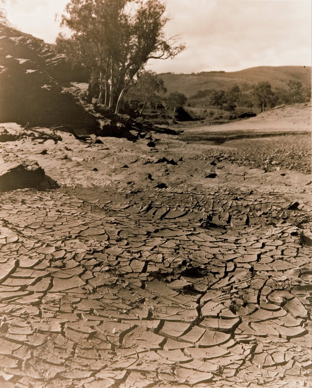 Den försvunna poolen, Flinders Ranges av F. A. Joyner