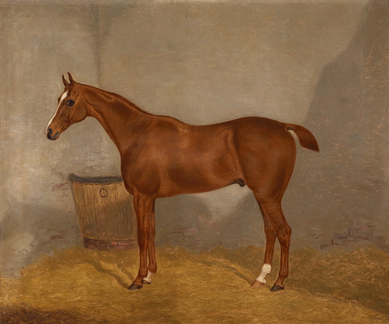 Pferdeportrait (Fireland oder Cocktail, eines von zwei in einem Los angebotenen Gemälden mit diesen Bezeichnungen) av F. Clifton