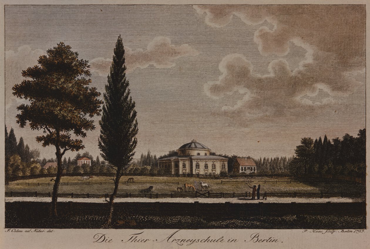 Veterinärskolan, Berlin, 1795 (etsning) av F.A. Calau