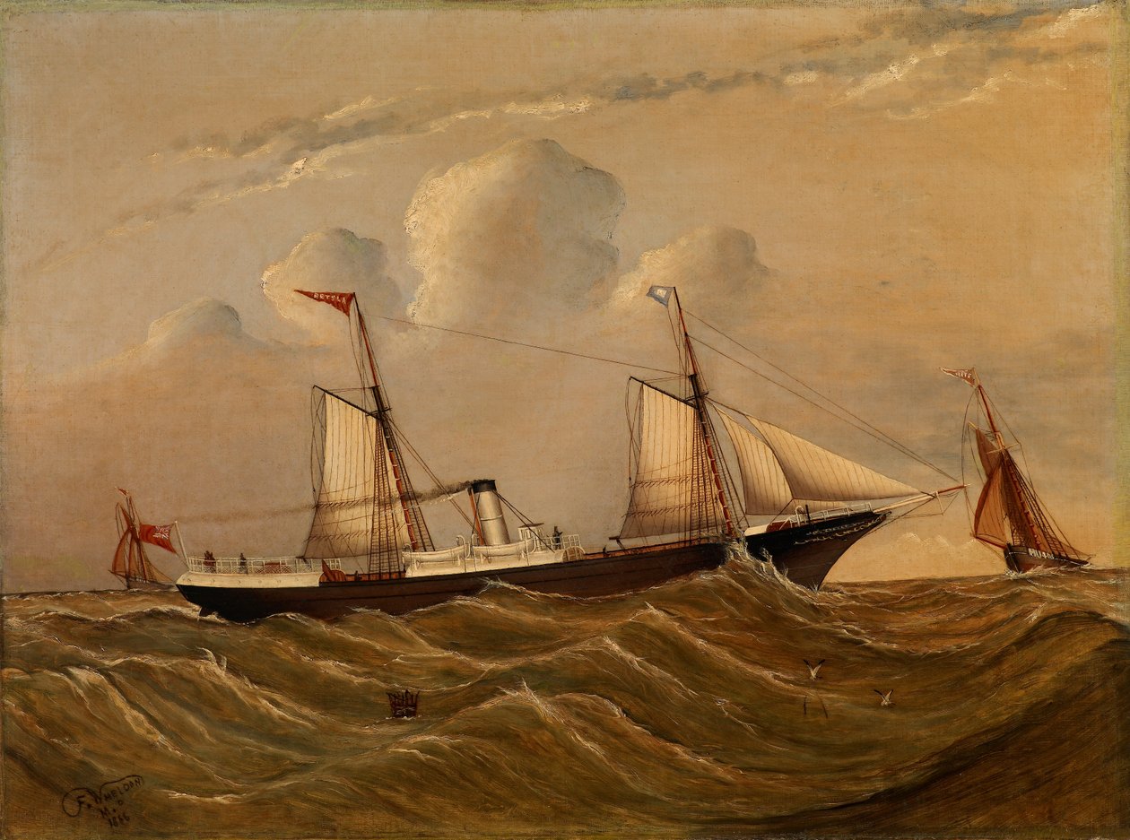 Steamer Alster av F.M.P. Wheldon