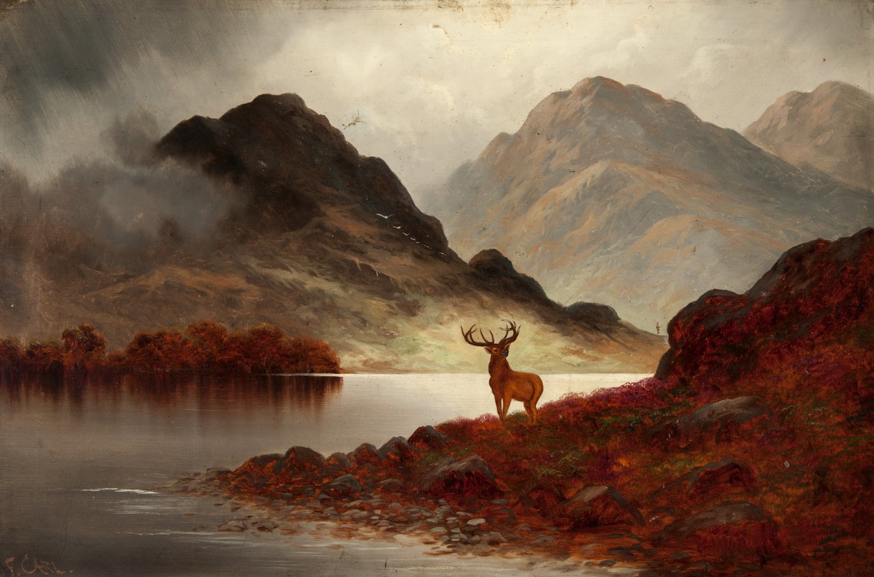 Stag at Bay (olja på duk) av F. Carl