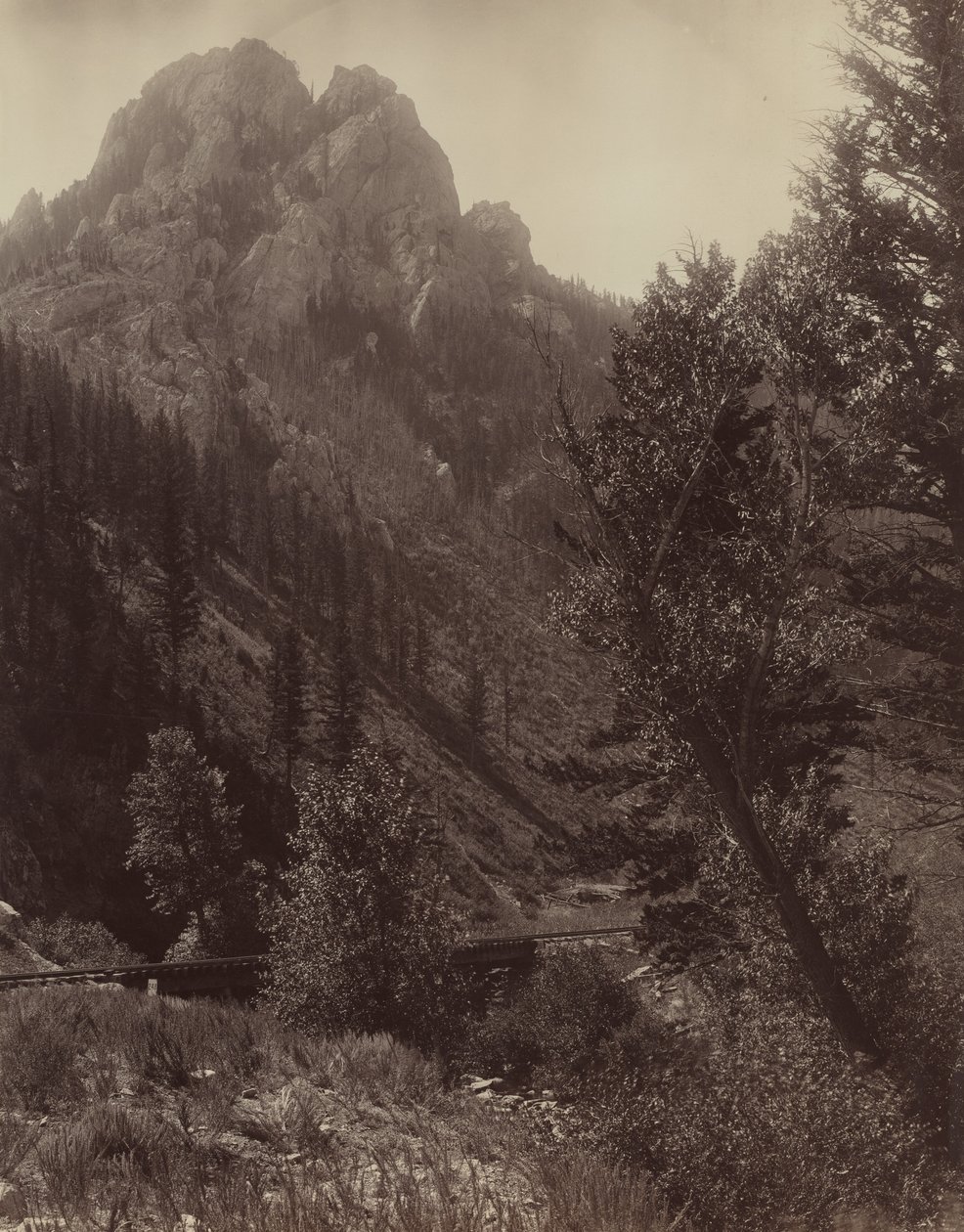 Utan titel, c. 1884. av F. Jay Haynes
