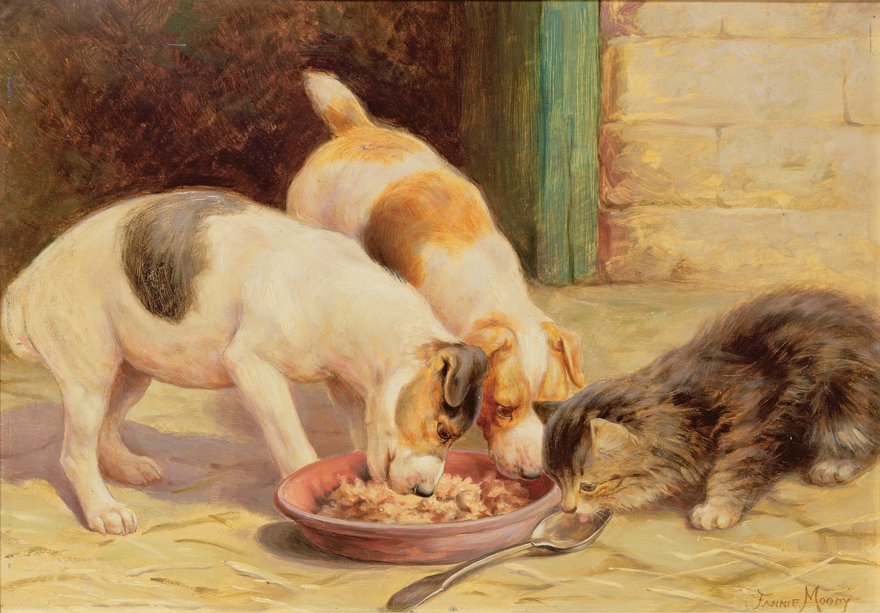 Middagsmiddag av Fannie Moody