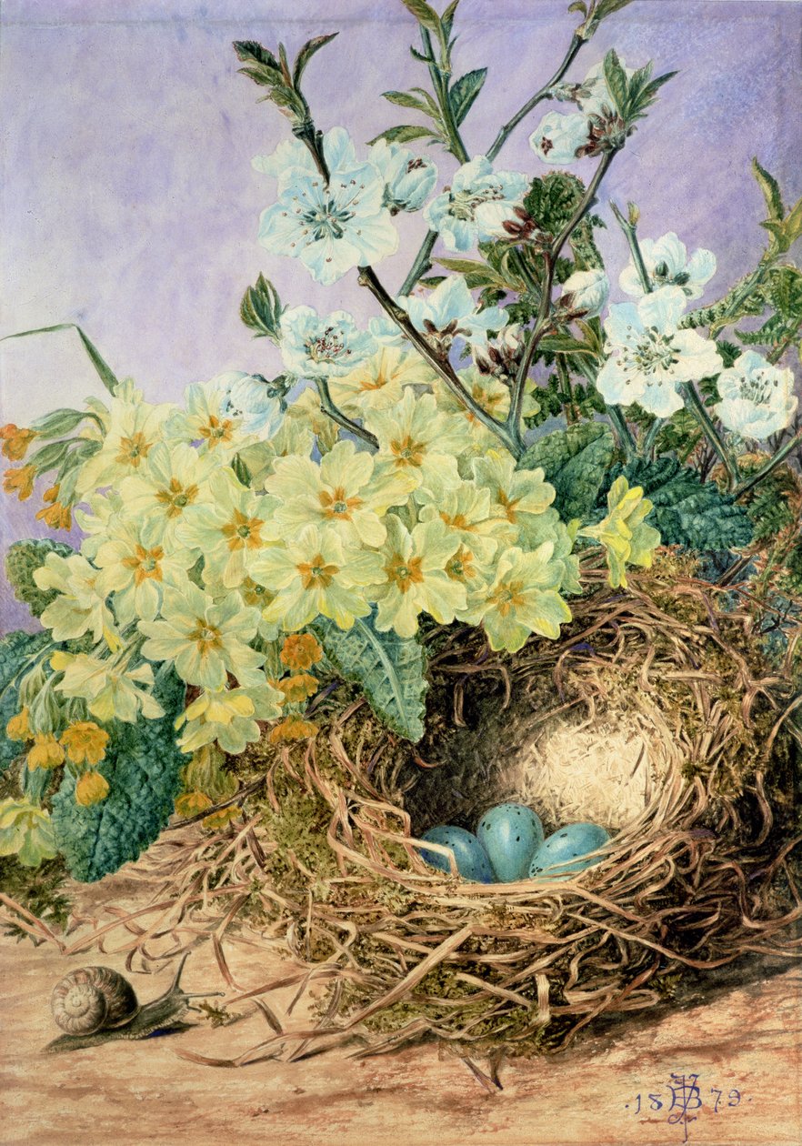 Spring, 1879 (wc på papper) av Fanny Jane Bayfield