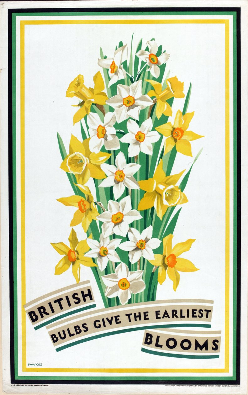 British Bulbs Give the Earliest Blooms, från serien 