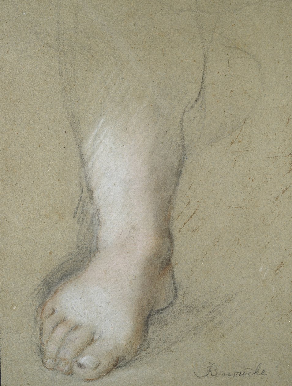 Fotstudie (svart, röd, rosa och vit krita på grått papper) av Federico Barocci