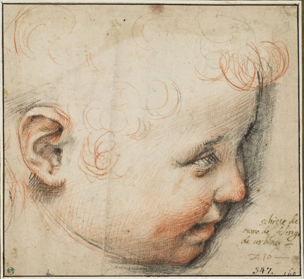 Ett barnhuvud i profil; kanske för Jesusbarnet av Federico Barocci