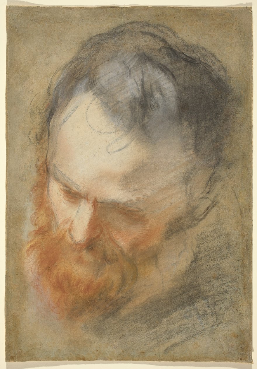 Huvud av en skäggig man av Federico Barocci