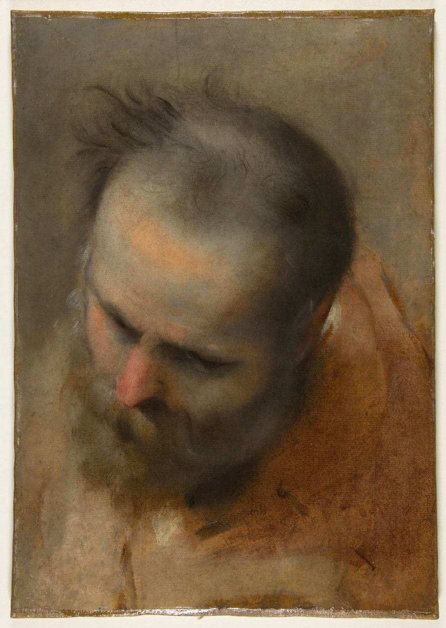 Huvudet av en skäggig man som blickar nedåt till vänster (Nikodemus) av Federico Barocci