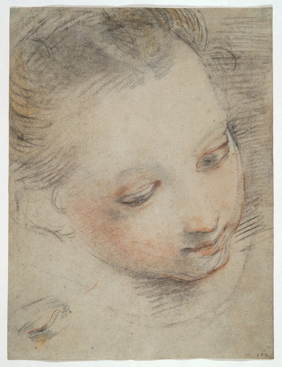 Head of a Girl, studera för en figur i Madonna del Popolos altartavla i Uffizierna av Federico Barocci