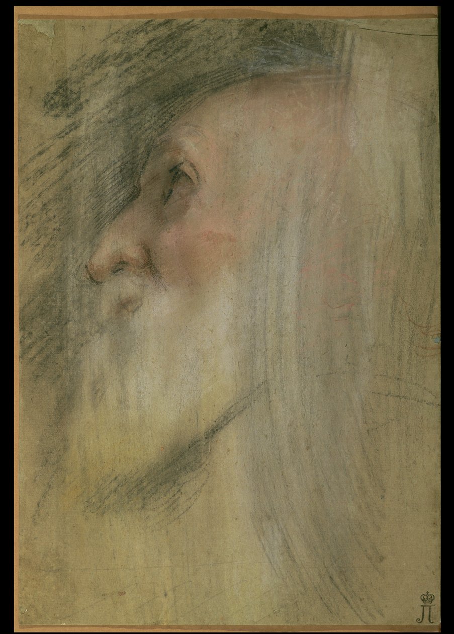 Head of an Old Man in Profile, c.1575-9 (pastell, svart krita och sangvin) av Federico Barocci