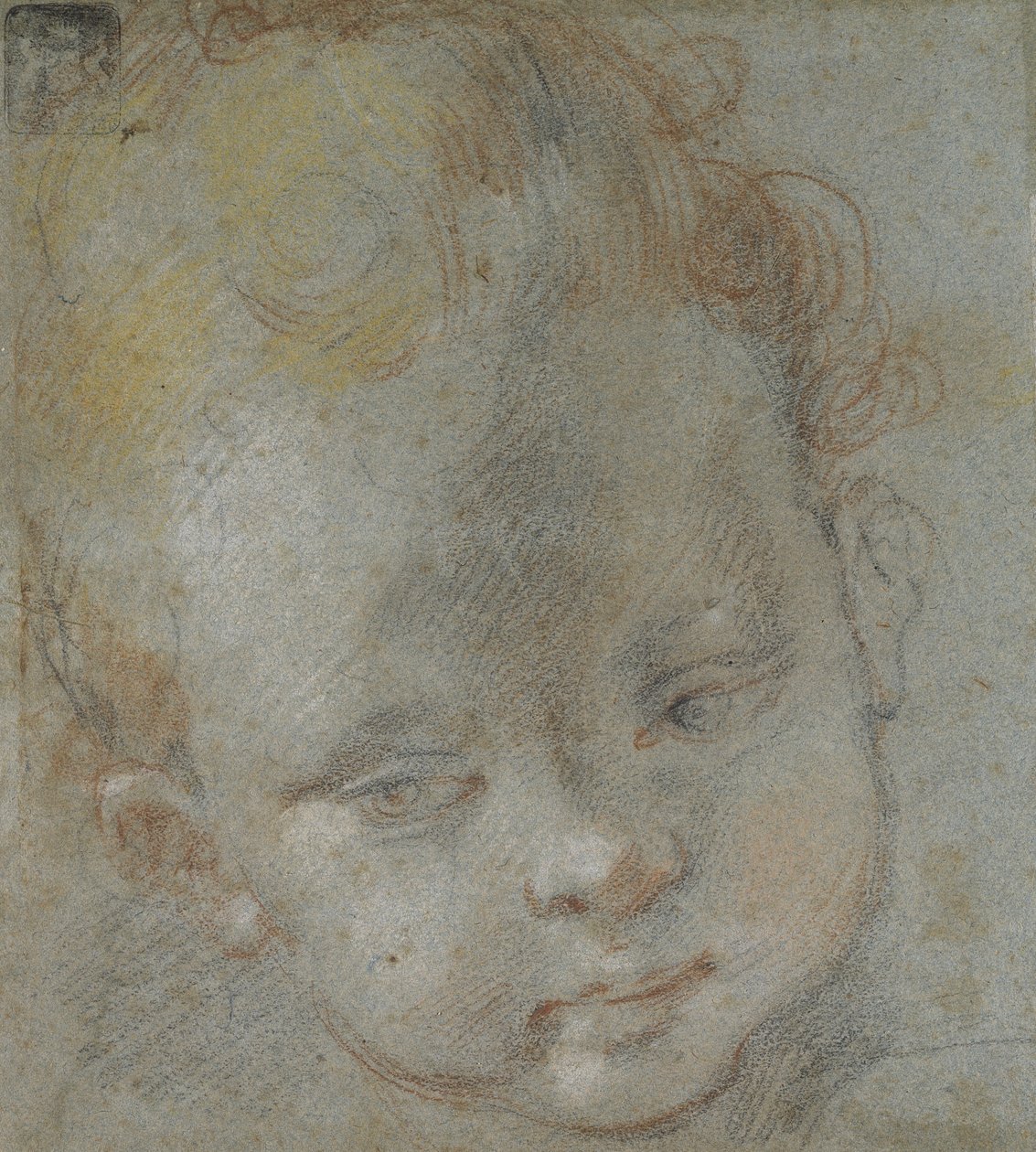 Recto: Head of a Child (svart, röd, vit, rosa och gul krita på blågrått papper) av Federico Barocci