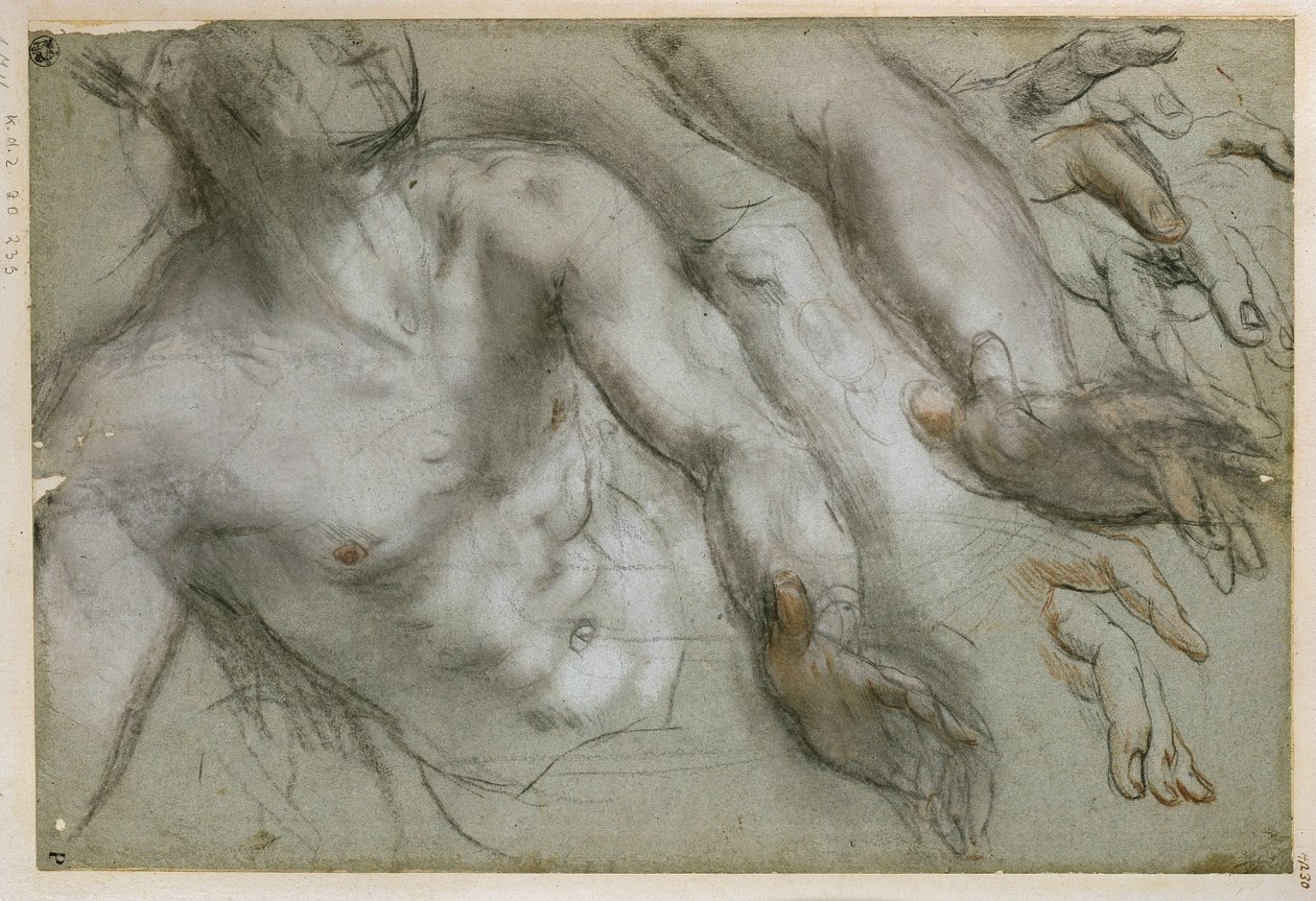 Studie till helgonfiguren i målningen "Sankt Vitalis martyrdöd" av Federico Barocci