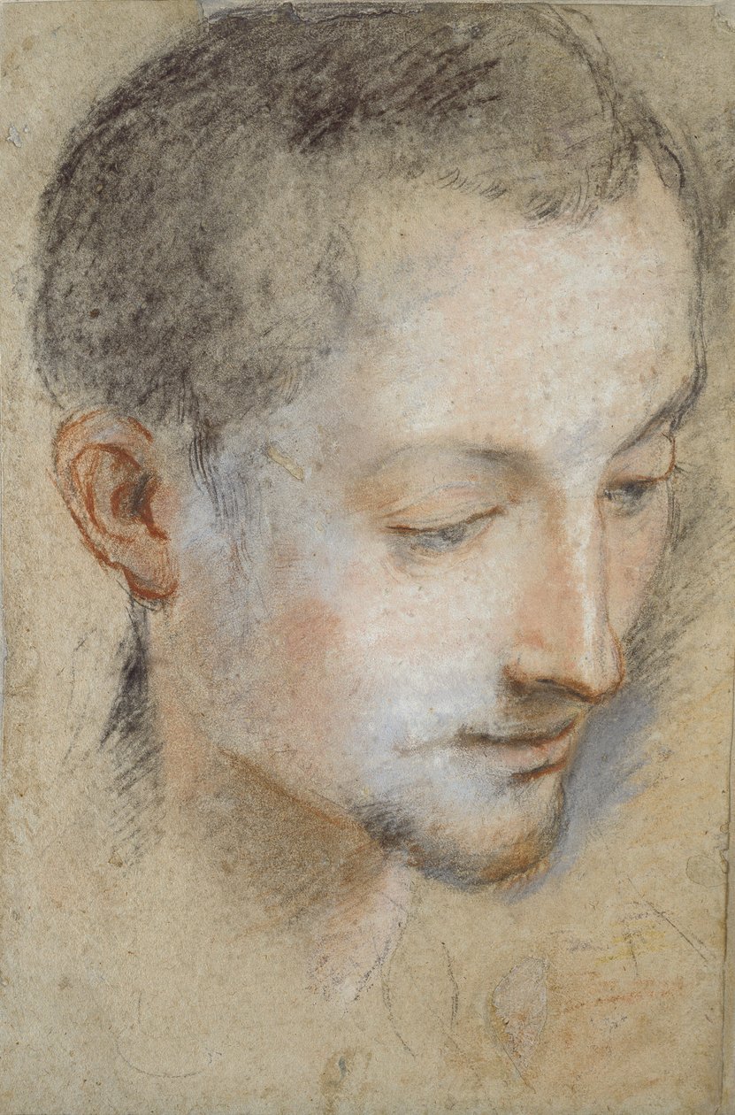 Studie av en ung mans huvud, sent 1500-tal av Federico Barocci