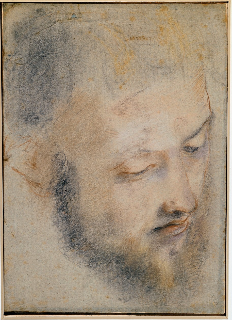 Studie av huvudet Teckning av Barocci av Federico Barocci