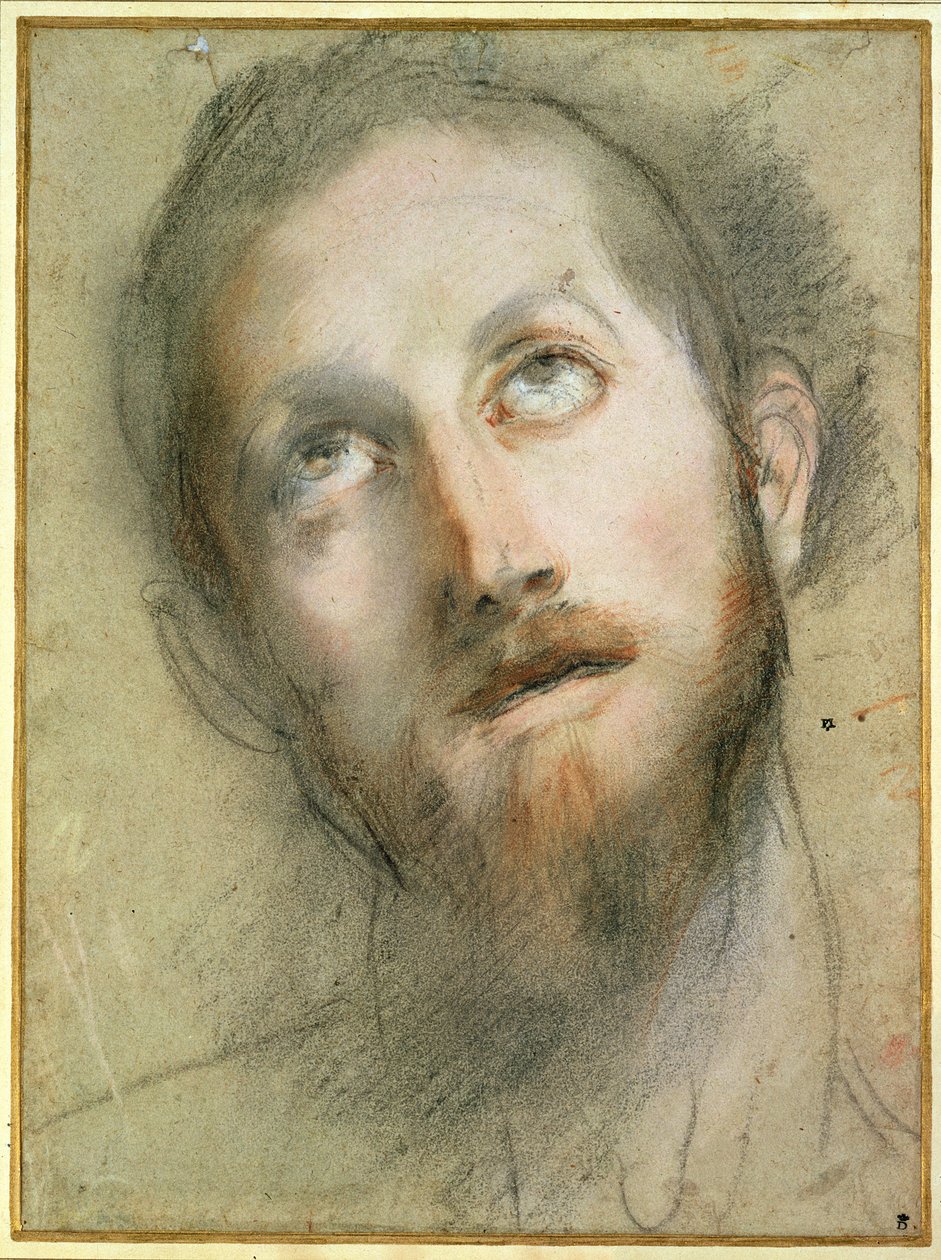 Studera för Kristi huvud (svart krita) av Federico Fiori Barocci or Baroccio