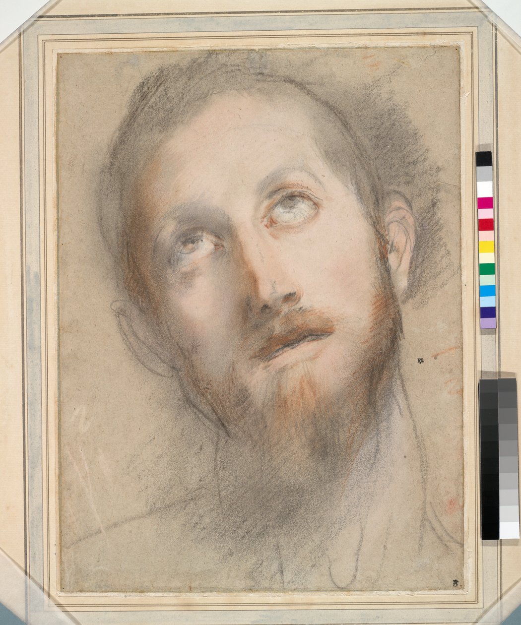Studie för Kristi huvud (färgade kritor och pastell på papper) av Federico Fiori Barocci or Baroccio