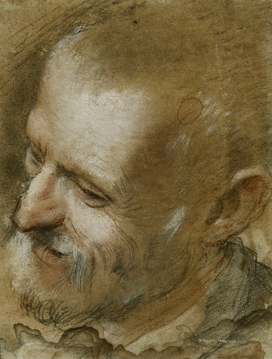 Studie av huvudet på en skäggig man som vändes åt vänster, 1590 av Federico Fiori Barocci or Baroccio