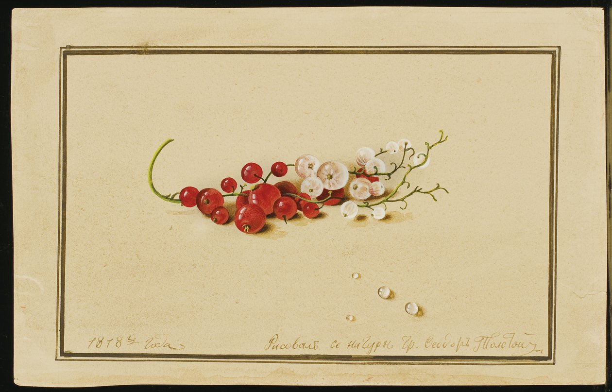 Röda och vita vinbär, 1818 av Fedor Petrovich Tolstoy