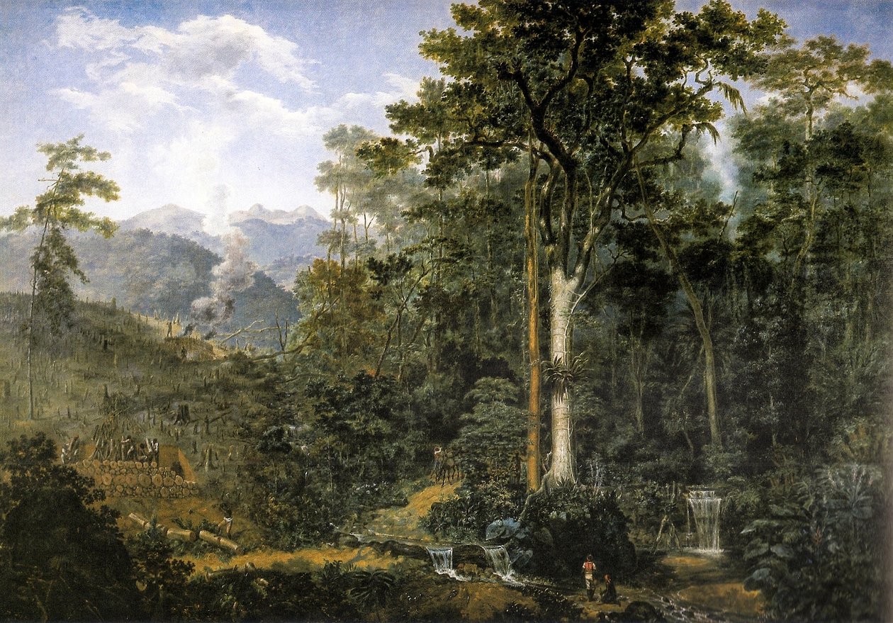 View of a virgin forest reduced to charcoal av Felix Taunay, Baron of Taunay