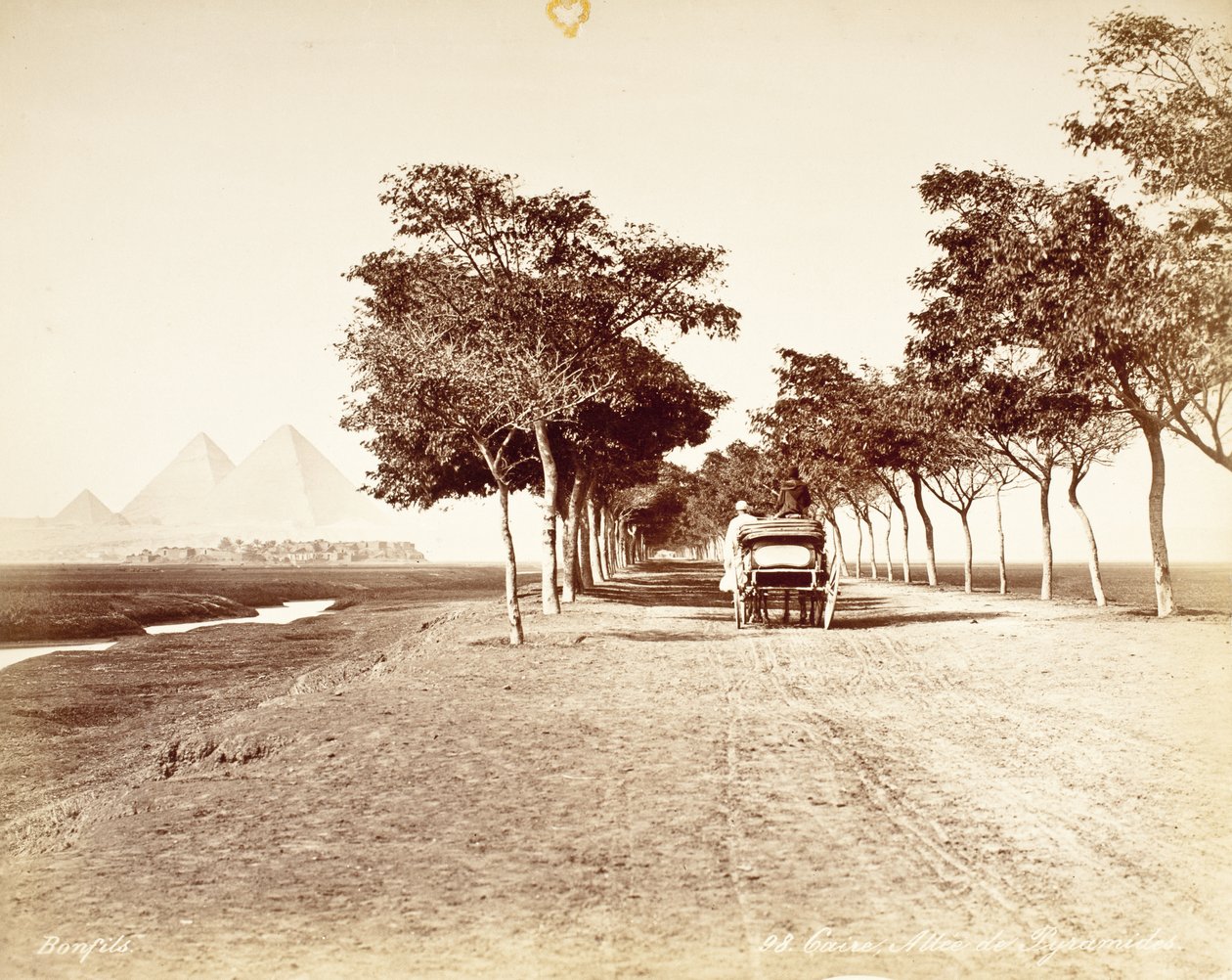 Kairo, Pyramidernas allé #98 av Félix Bonfils