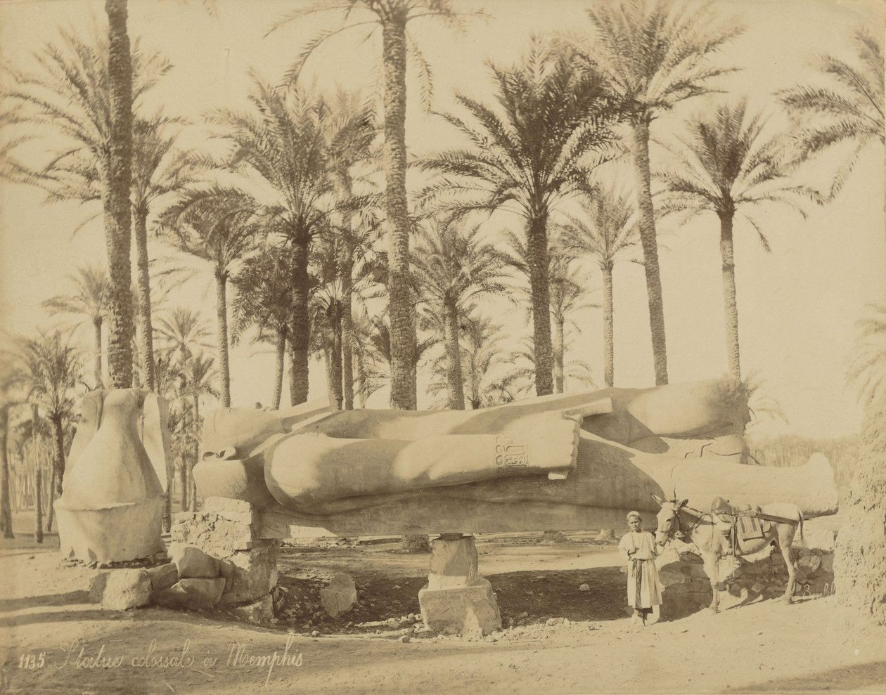 Kolosssklassisk staty i Memphis (Senusret III) av Félix Bonfils