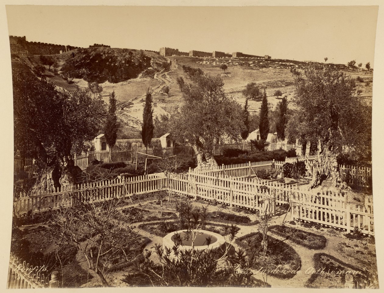Getsemane trädgård av Félix Bonfils