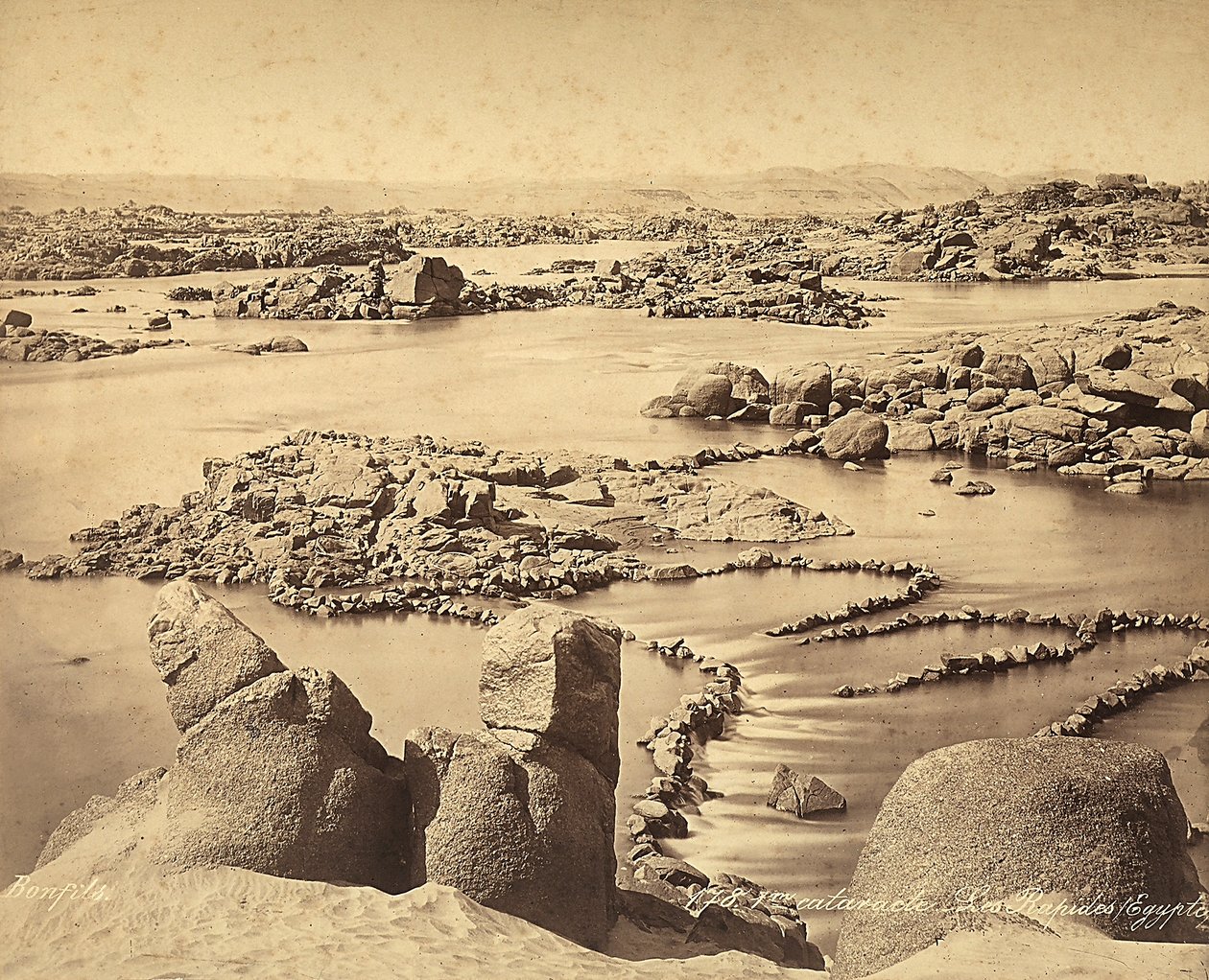 Nilens grå starr, Egypten av Félix Bonfils