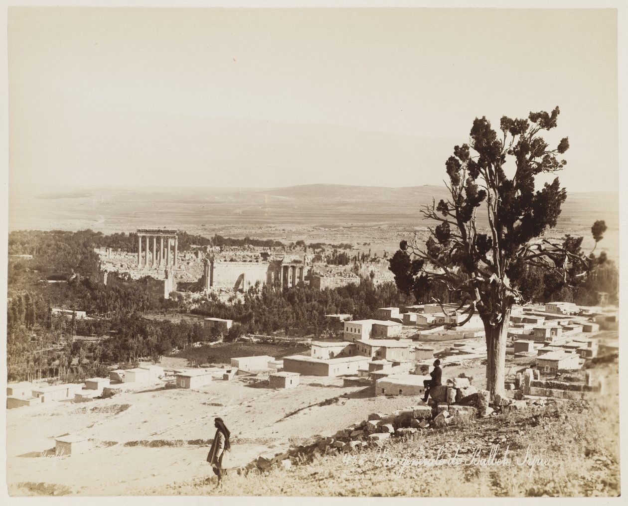 Översikt över Baalbek, Syrien #438 av Félix Bonfils
