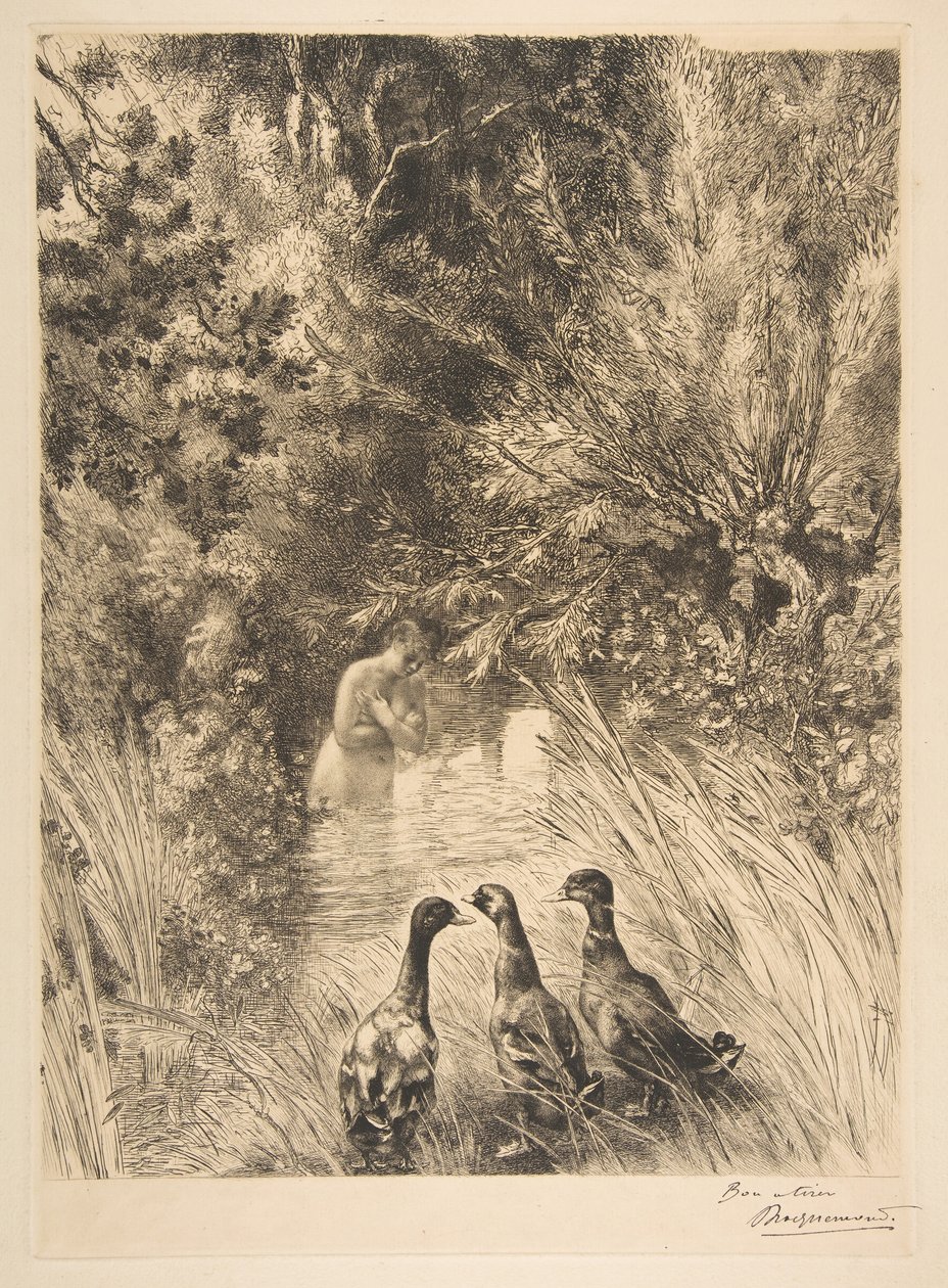 Förvånade ankor, 1882. av Felix Bracquemond