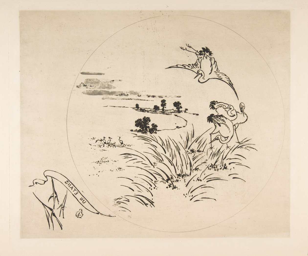 Dekoration för en tallrik: A Pond, 1870. av Felix Bracquemond