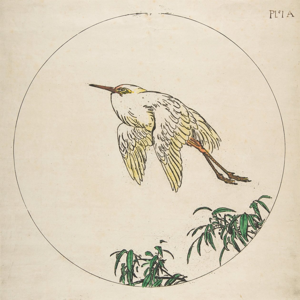 Dekoration för en tallrik: An Egret Flying Above Bamboo Branches, 1850-1914. av Felix Bracquemond