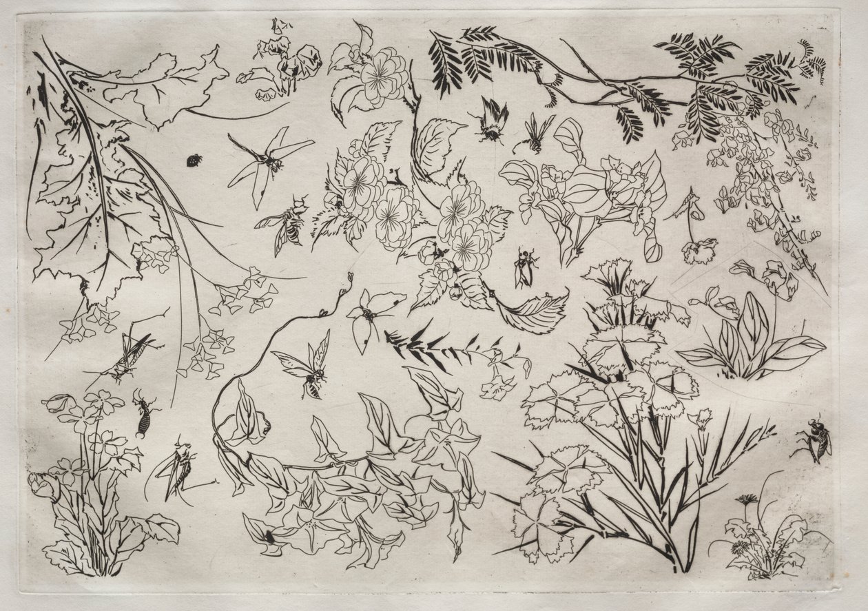 Middagsservering (Rousseau-servering): Blommor (nr 22) av Felix Bracquemond