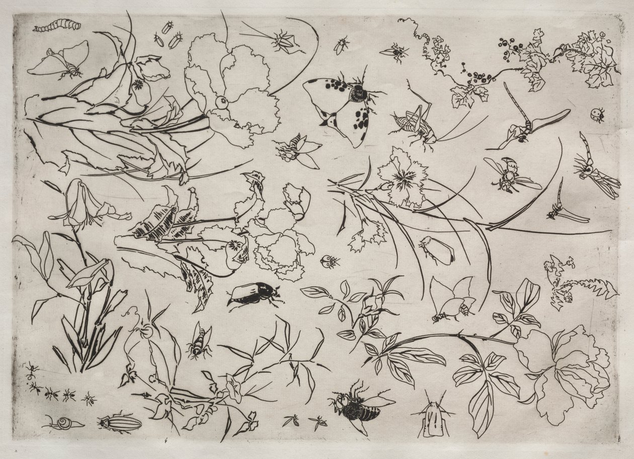 Middagsservering (Rousseau-servering): Blommor och insekter (nr 15) av Felix Bracquemond