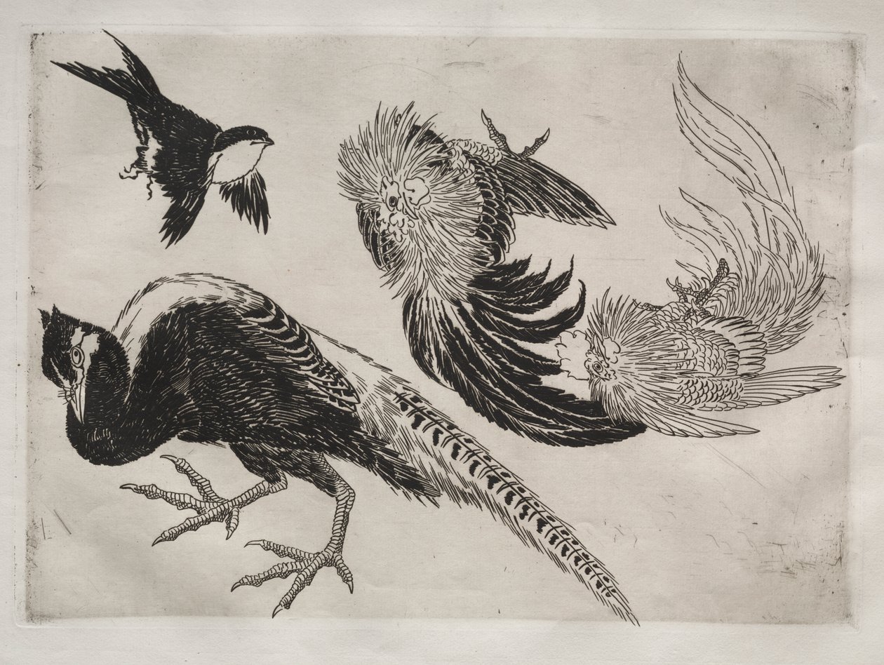 Middagsservering (Rousseau-servering): Fasaner och fågel (nr 18) av Felix Bracquemond