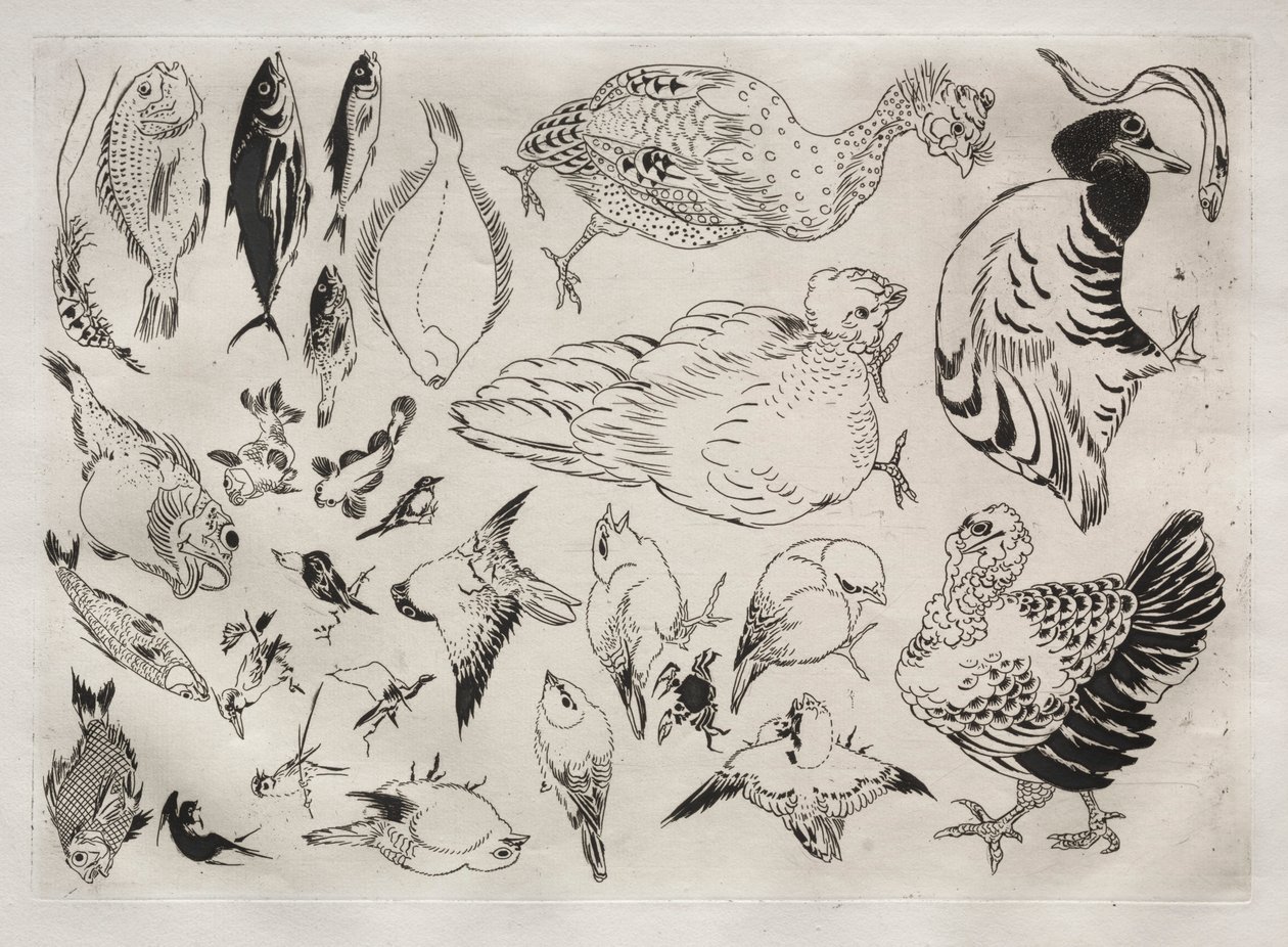 Middagsservering Rousseauservering: Ankor, fisk mm nr. 12, 1866. av Felix Bracquemond