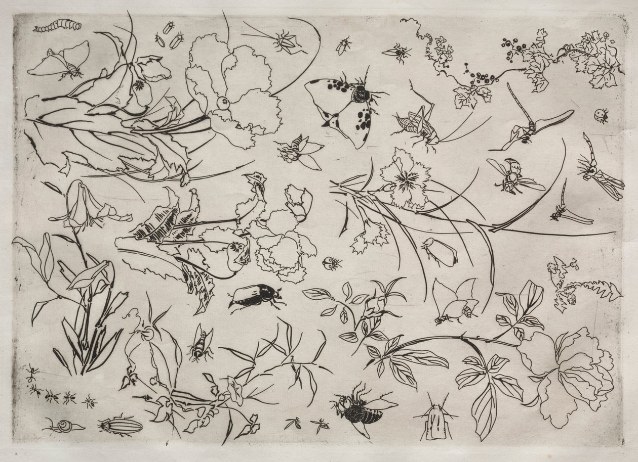 Middagsservering Rousseauservice: Blommor och insekter nr. 15, 1866. av Felix Bracquemond