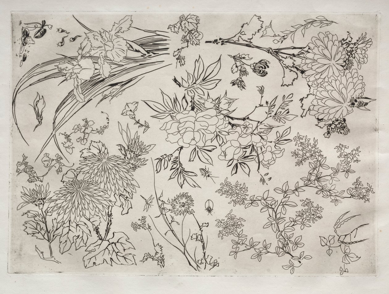 Middagsservering Rousseauservice: Blommor nr. 23, 1866. av Felix Bracquemond