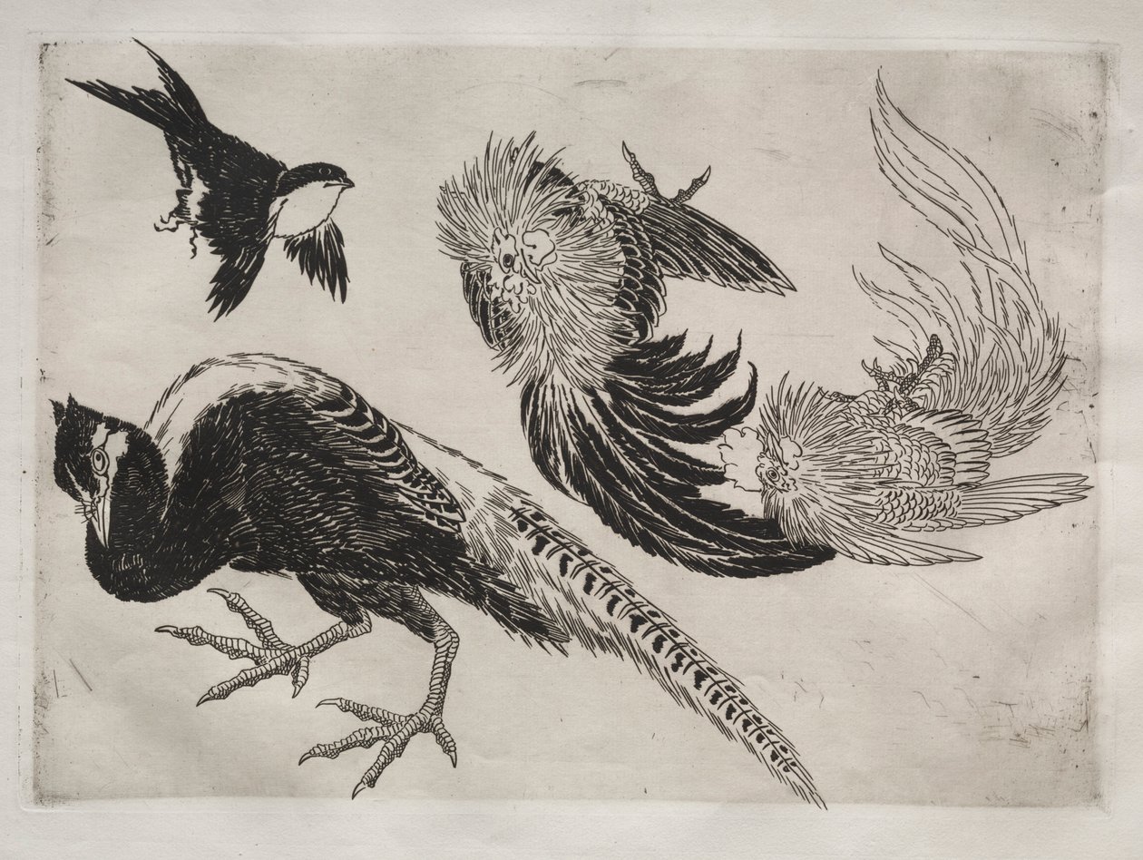 Middag Service Rousseau service: Fasaner och fågel nr. 18, 1866. av Felix Bracquemond