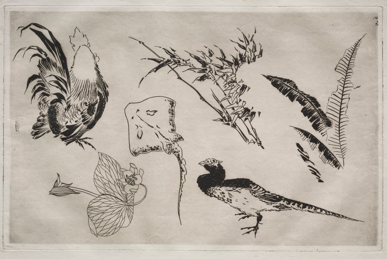 Middagsservice Rousseauservice: Tuppar, skridskor, växter mm nr. 9, 1866. av Felix Bracquemond