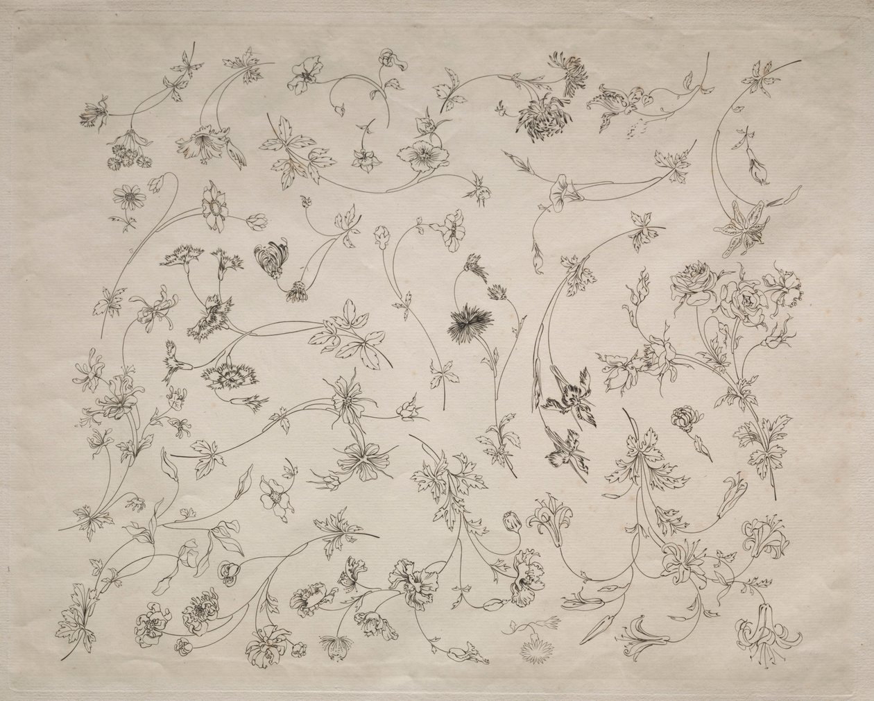 Blommönster för tallrikar och bårder nr. 14, 1872. av Felix Bracquemond