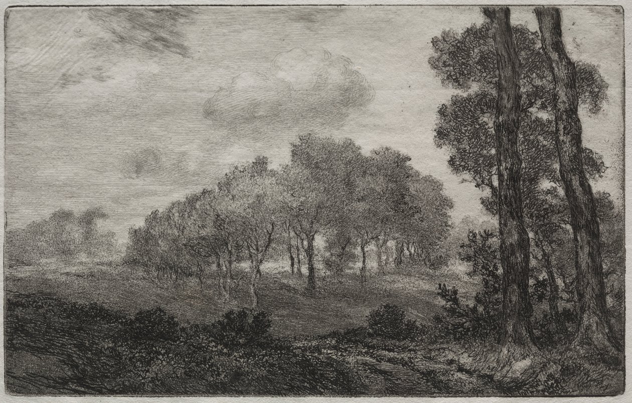 Landskap, efter franska av Felix Bracquemond